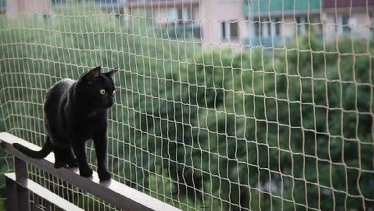 Cat Balcony Netting That Keeps Worries Away